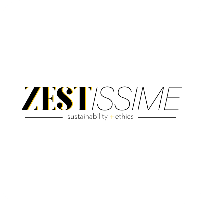logo ZESTISSIME partenariat ebooster.ch RSE